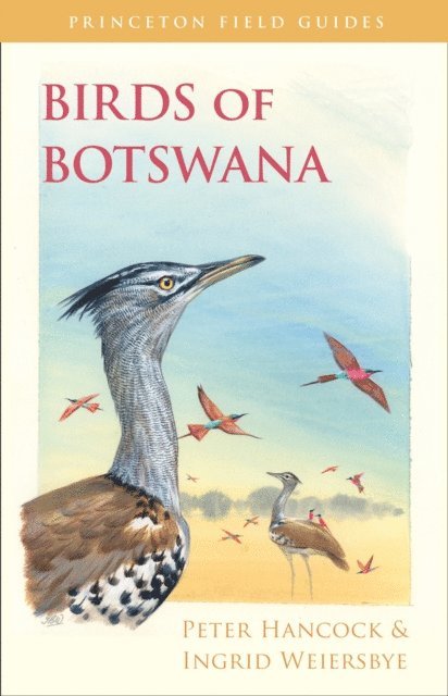 Ingrid Weiersbye, Peter Hancock - Birds of Botswana, E-bok