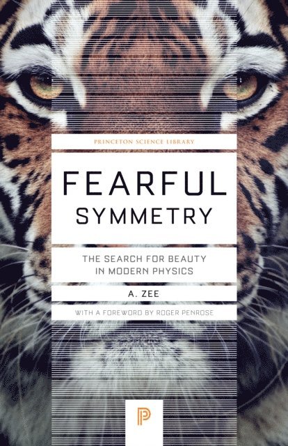 Anthony Zee - Fearful Symmetry, E-bok