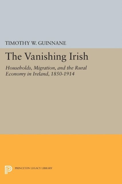Timothy W. Guinnane - Vanishing Irish, E-bok