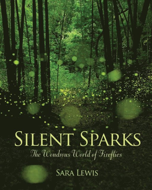 Sara Lewis - Silent Sparks, E-bok