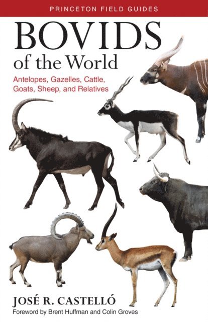 Jose R. Castello - Bovids of the World, E-bok