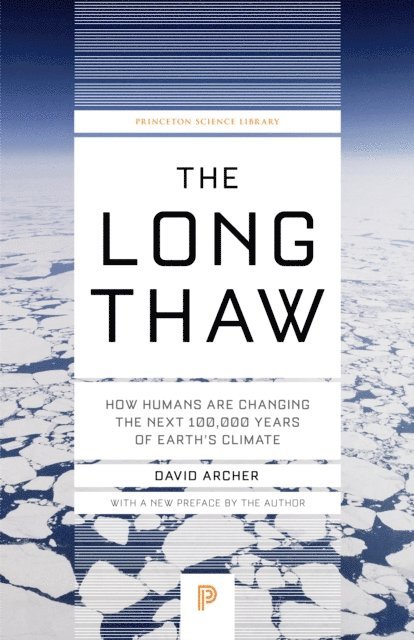 David Archer - Long Thaw, E-bok