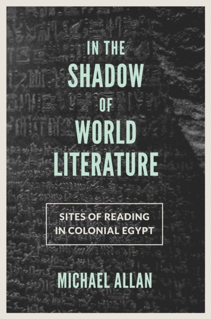 Michael Allan - In the Shadow of World Literature, E-bok