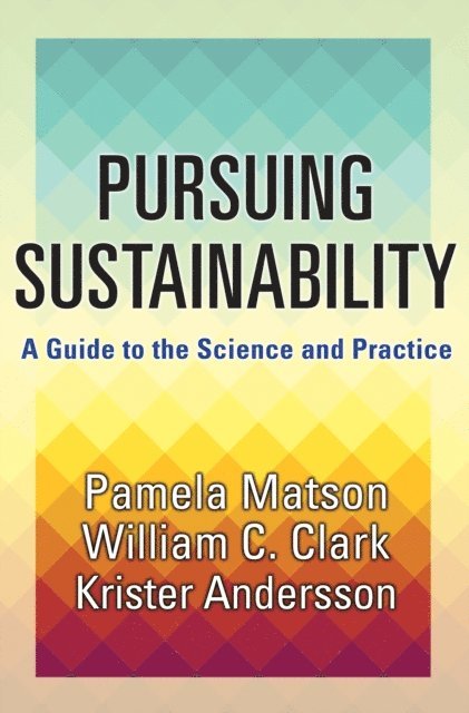 Krister Par Andersson, William C. Clark, Pamela Matson - Pursuing Sustainability, E-bok