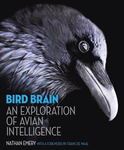 Nathan Emery - Bird Brain, E-bok