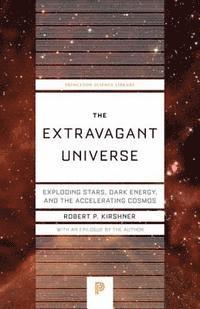 Robert P. Kirshner - Extravagant Universe, E-bok