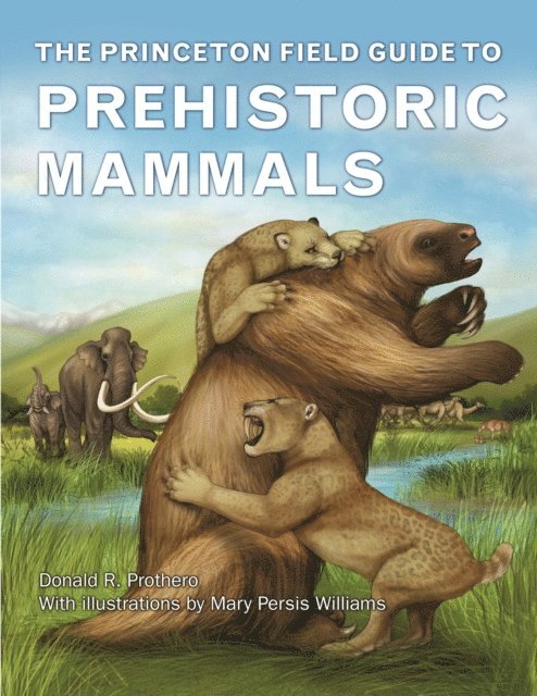 Donald R. Prothero - Princeton Field Guide to Prehistoric Mammals, E-bok
