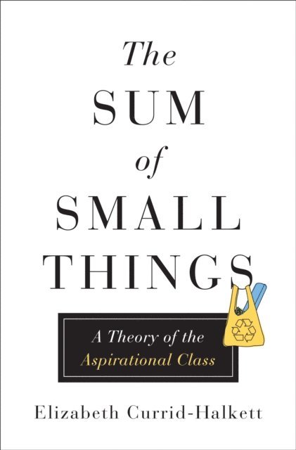 Elizabeth Currid-Halkett - Sum of Small Things, E-bok