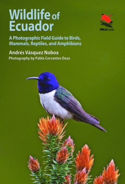 Andres Vasquez Noboa - Wildlife of Ecuador, E-bok