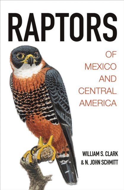 N. John Schmitt, William S. Clark - Raptors of Mexico and Central America, E-bok