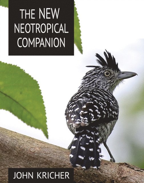 John C. Kricher - New Neotropical Companion, E-bok. Tillgänglighet: Lägg i varukorg