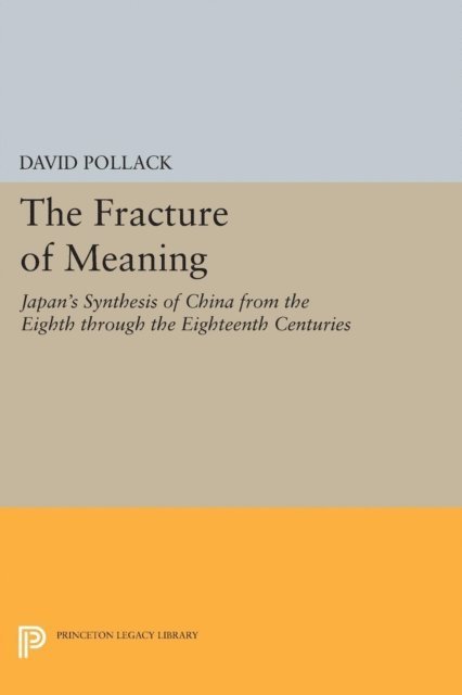 David Pollack - Fracture of Meaning, E-bok
