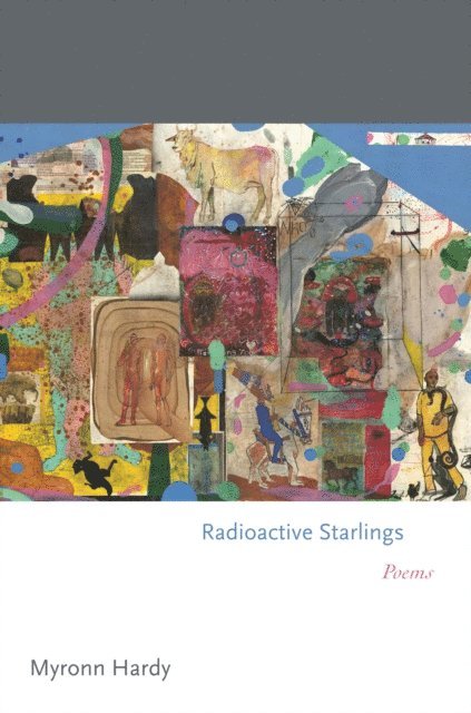 Myronn Hardy - Radioactive Starlings, E-bok