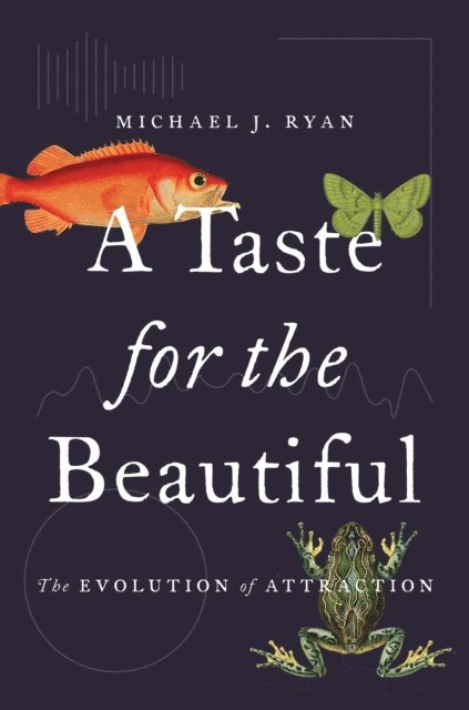 Michael J. Ryan - Taste for the Beautiful, E-bok