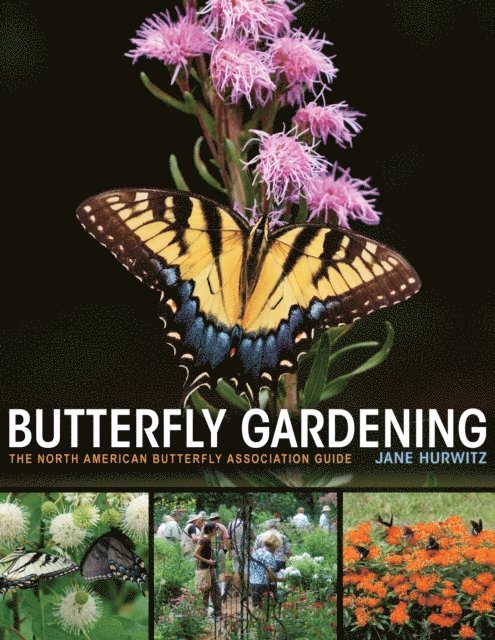 Jane Hurwitz - Butterfly Gardening, E-bok. Tillgänglighet: Lägg i varukorg