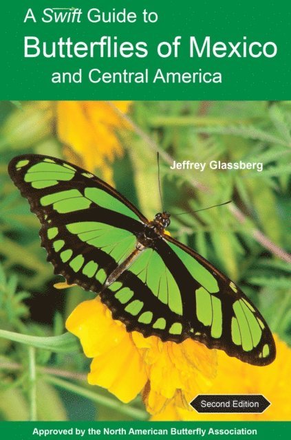 Jeffrey Glassberg - Swift Guide to Butterflies of Mexico and Central America, E-bok