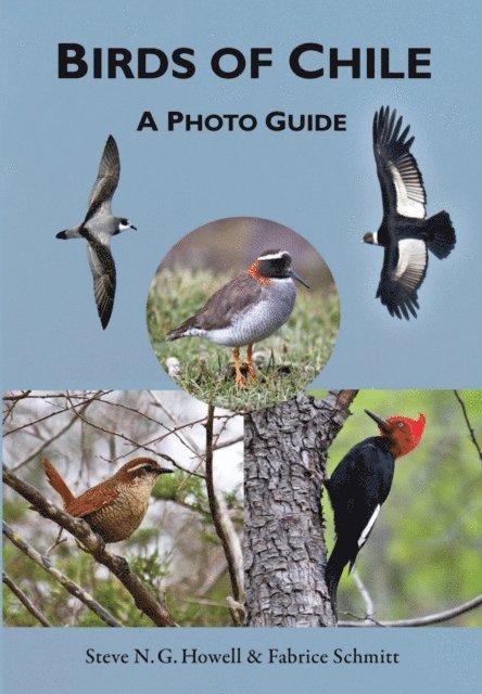 Fabrice Schmitt, Steve N. G. Howell - Birds of Chile, E-bok