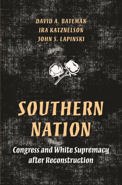 John S. Lapinski, Ira Katznelson, David A. Bateman - Southern Nation, E-bok