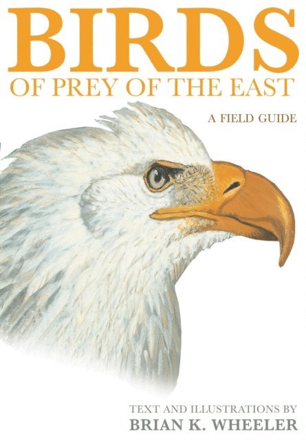 Brian K. Wheeler - Birds of Prey of the East, E-bok