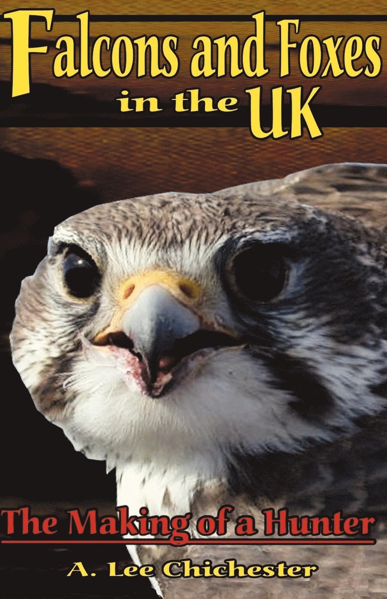 A Lee Chichester - Falcons and Foxes in the U.K., Häftad
