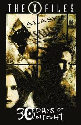 Adam Jones, Steve Niles - 30 Days of Night, Häftad