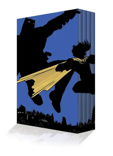 Dark Knight Returns Slipcase Set