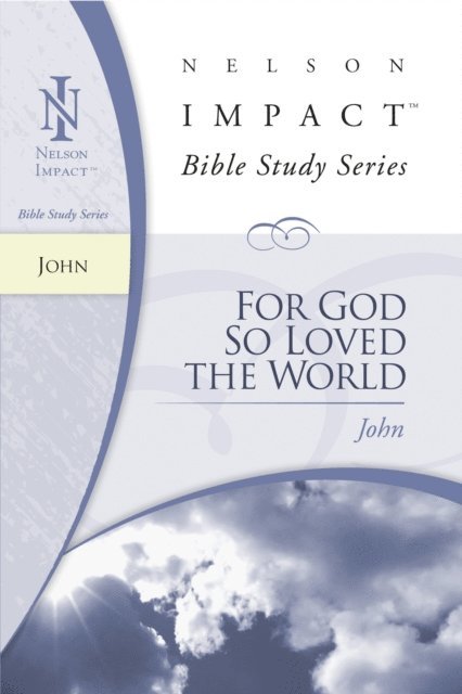 Zondervan - John, E-bok