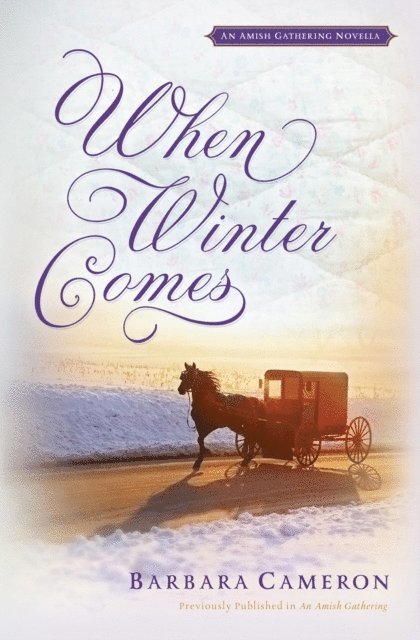 Barbara Cameron - When Winter Comes, E-bok