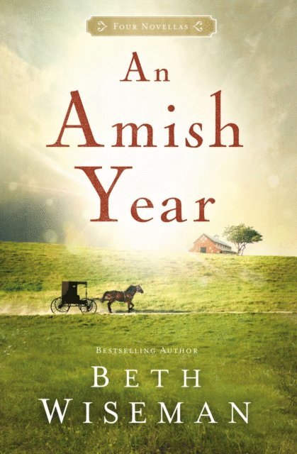 Beth Wiseman - Amish Year, E-bok