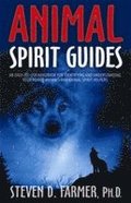 Animal Spirit Guides: An Easy-To-Use Handbook for Identifying and Understanding Your Power Animals Andanimal Spirit Helpers