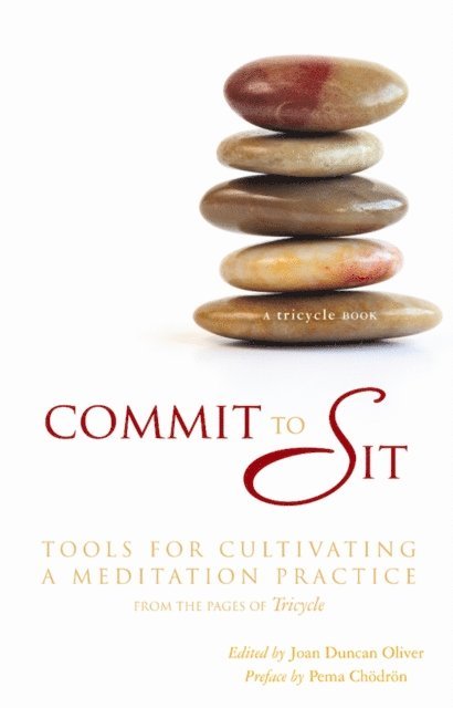 Joan Duncan Oliver - Commit to Sit, E-bok