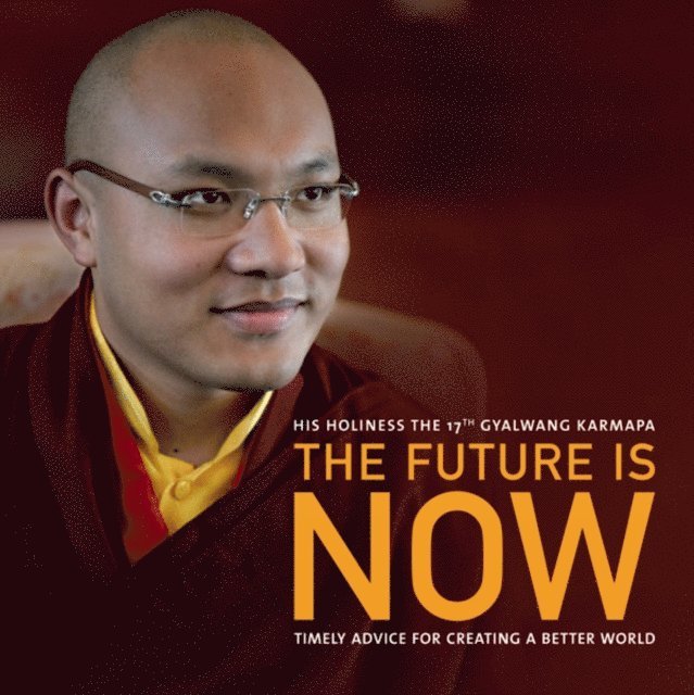 Ogyen Trinley Dorje - Future Is Now, E-bok