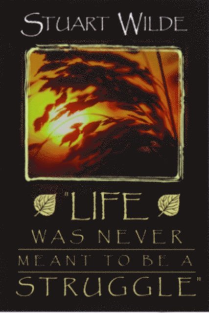 Stuart Wilde - Life Was Never Meant to Be a Struggle, E-bok