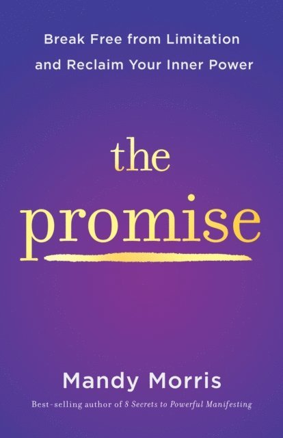Mandy Morris - Promise, E-bok
