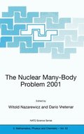 Nuclear Many-Body Problem