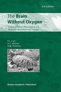 Brain Without Oxygen
