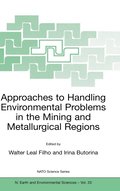Approaches to Handling Environmental Problems in the Mining and Metallurgical Regions