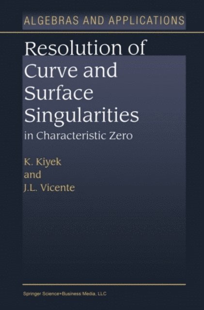 J.L. Vicente, K. Kiyek - Resolution of Curve and Surface Singularities in Characteristic Zero, E-bok