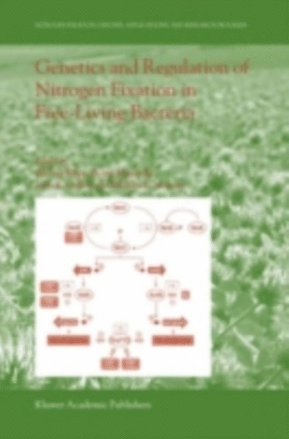 William E. Newton, John R. Gallon, Bernd Masepohl, Werner Klipp - Genetics and Regulation of Nitrogen Fixation in Free-Living Bacteria, E-bok