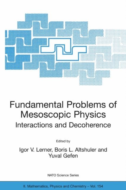 Yuval Gefen, Boris L. Altshuler, Igor V. Lerner - Fundamental Problems of Mesoscopic Physics, E-bok