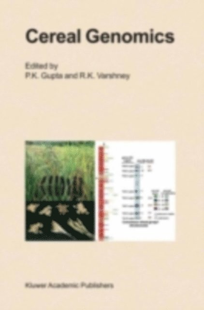 R.K. Varshney, Pushpendra K. Gupta - Cereal Genomics, E-bok