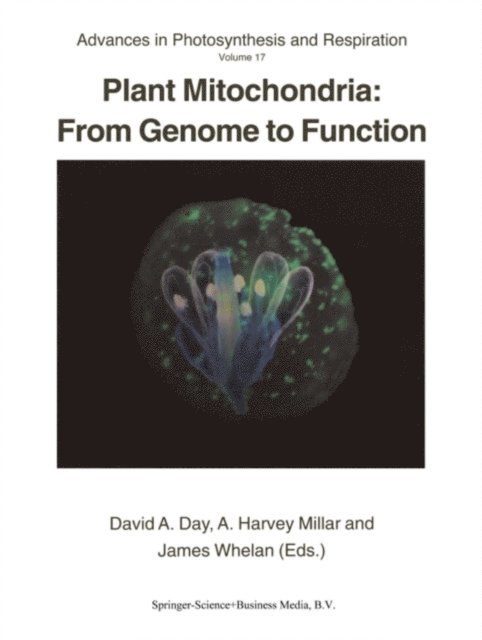 James Whelan, A. Harvey Millar, David Day - Plant Mitochondria: From Genome to Function, E-bok