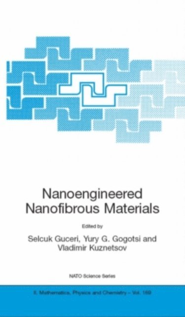 Vladimir Kuznetsov, Yury G. Gogotsi, Selcuk Guceri - Nanoengineered Nanofibrous Materials, E-bok