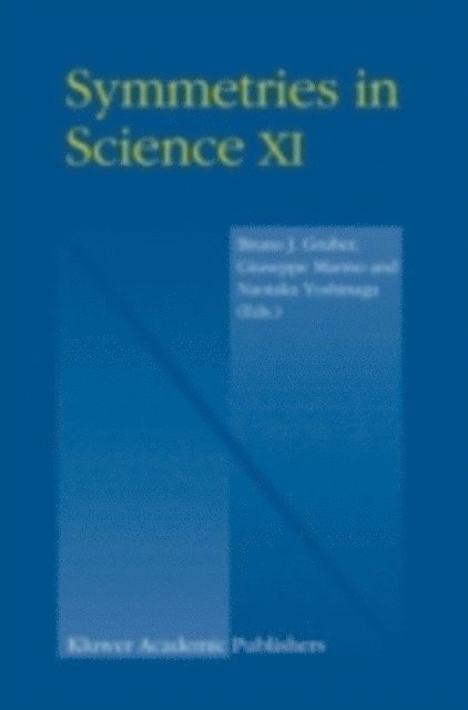 Naotaka Yoshinaga, Giuseppe Marmo, Bruno Gruber - Symmetries in Science XI, E-bok
