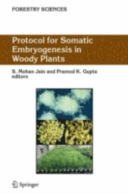 Pramod K. Gupta, Shri Mohan Jain - Protocol for Somatic Embryogenesis in Woody Plants, E-bok