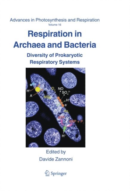 Davide Zannoni - Respiration in Archaea and Bacteria, E-bok