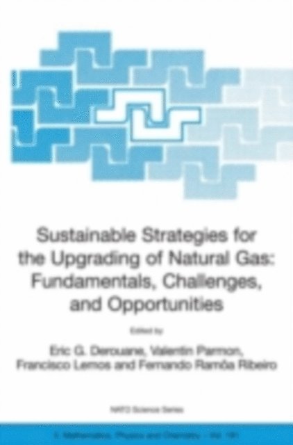 Fernando Ramoa Ribeiro, Francisco Lemos, Valentin Parmon, E.G. Derouane - Sustainable Strategies for the Upgrading of Natural Gas: Fundamentals, Challenges, and Opportunities, E-bok