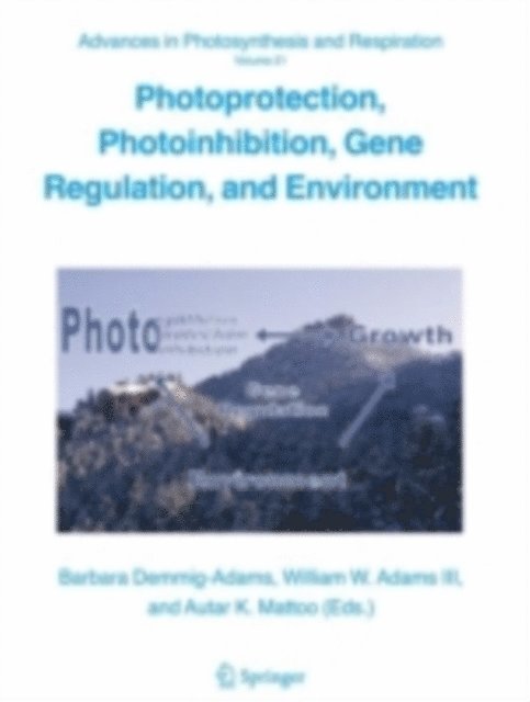A. Mattoo, William Adams, Barbara Demmig-Adams - Photoprotection, Photoinhibition, Gene Regulation, and Environment, E-bok