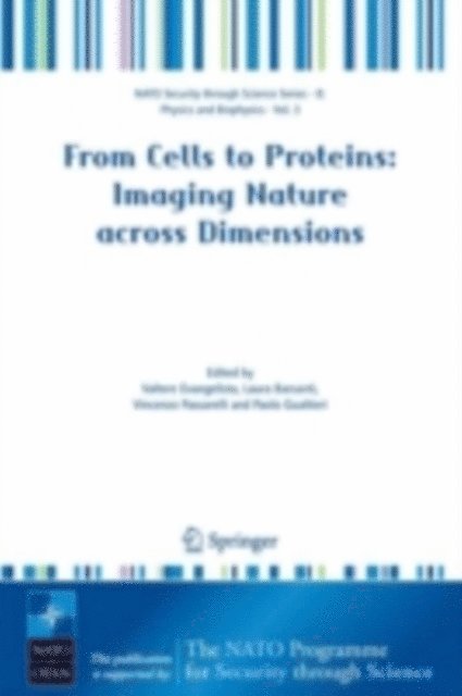 Paolo Gualtieri, Vincenzo Passarelli, Laura Barsanti, Valtere Evangelista - From Cells to Proteins: Imaging Nature across Dimensions, E-bok