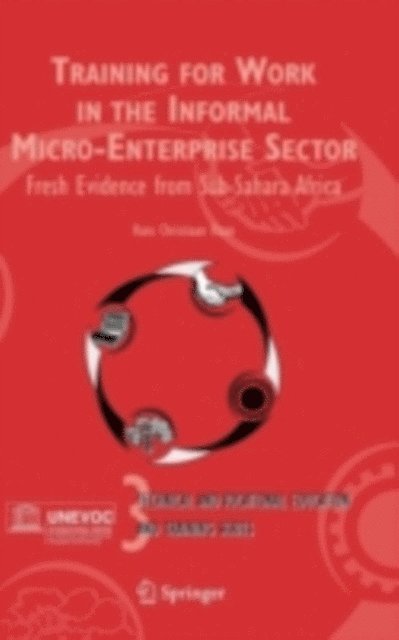 Hans Christiaan Haan - Training for Work in the Informal Micro-Enterprise Sector, E-bok
